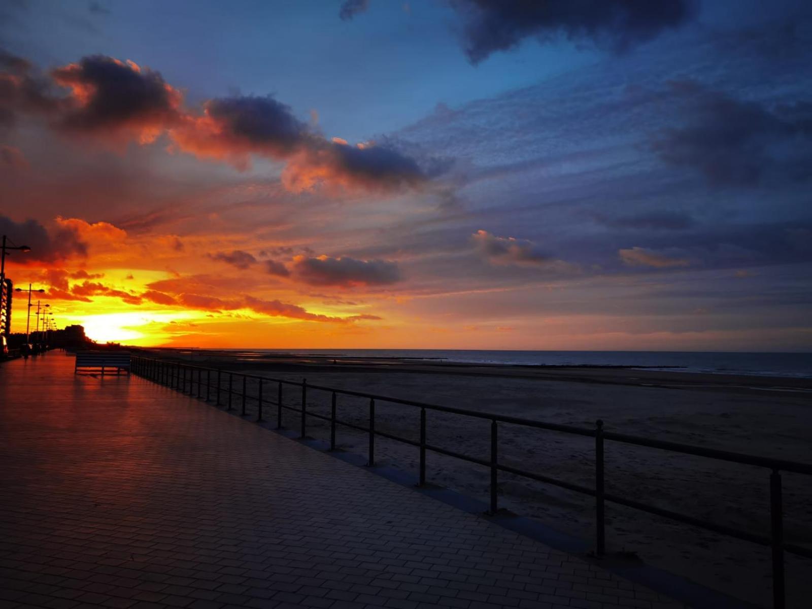 Easyescape - Darwin Zeezicht Studio Middelkerke Exteriör bild
